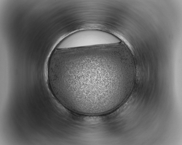 X0000095961083200801251145