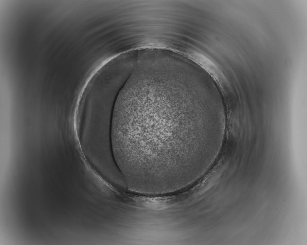 X0000095961084200801251145