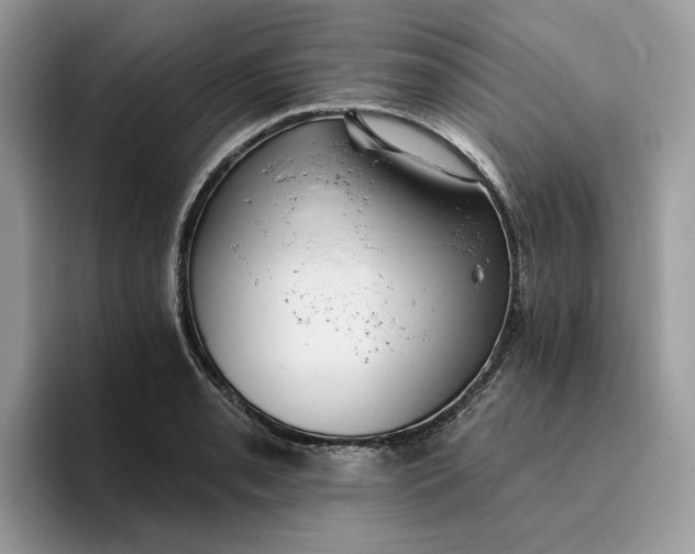 X0000095961085200801251145