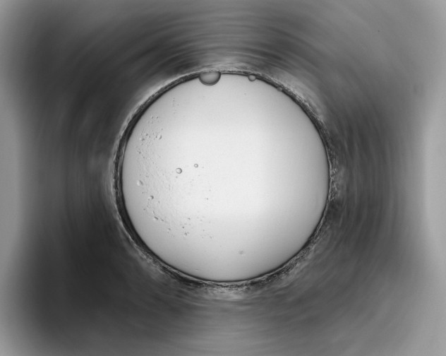 X0000095961086200801251145