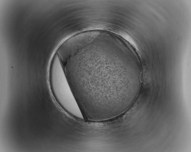 X0000095961088200801251145