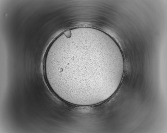 X0000095961090200801251145