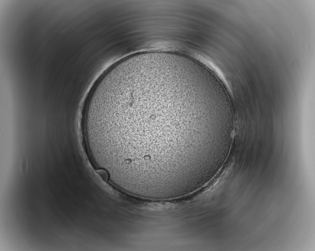 X0000095961091200801251145