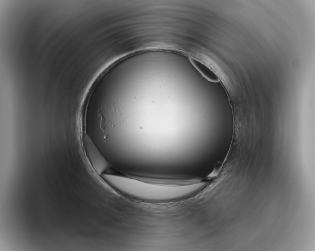 X0000095961092200801251145