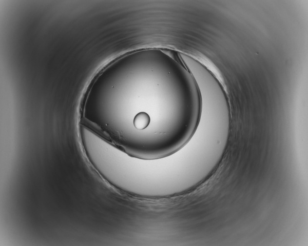 X0000095961096200801251145