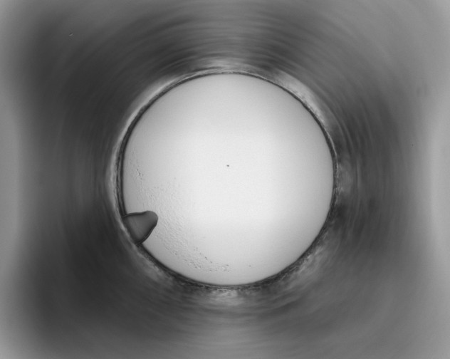 X0000095961098200801251145