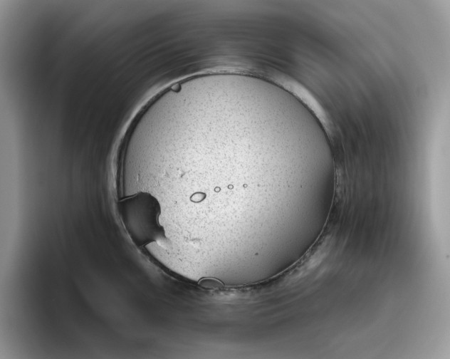 X0000095961099200801251145