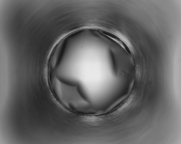 X0000095961100200801251145