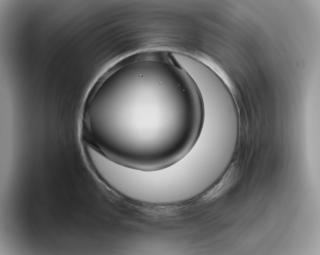 X0000095961101200801251145