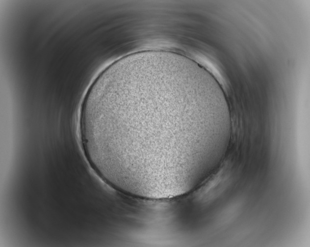 X0000095961103200801251145