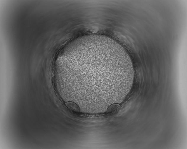 X0000095961105200801251144