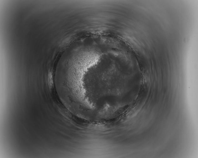 X0000095961106200801251144