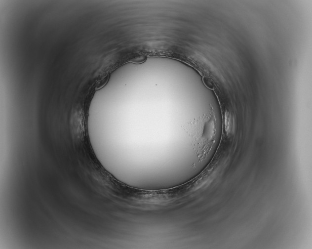 X0000095961107200801251144