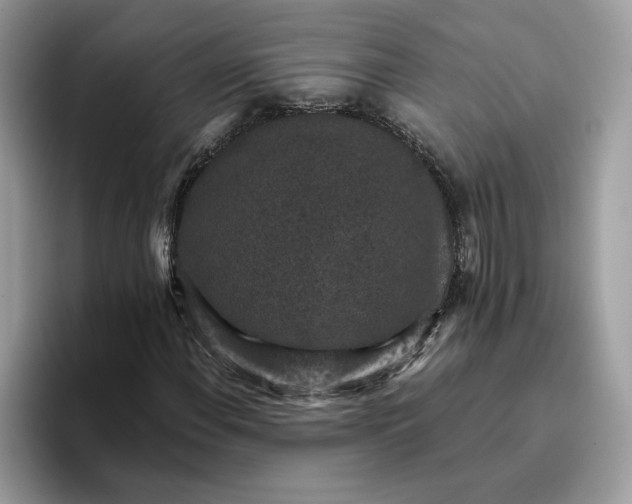 X0000095961108200801251144