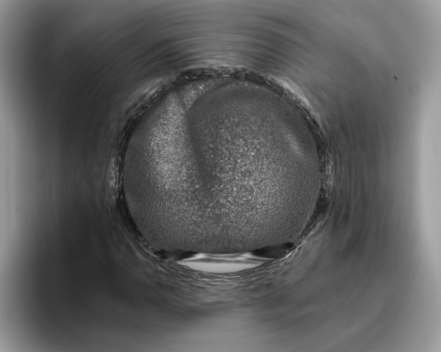 X0000095961110200801251144