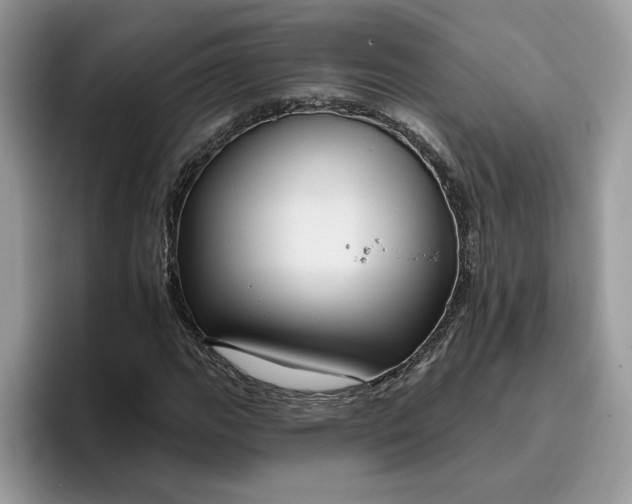 X0000095961111200801251144