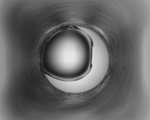 X0000095961112200801251144