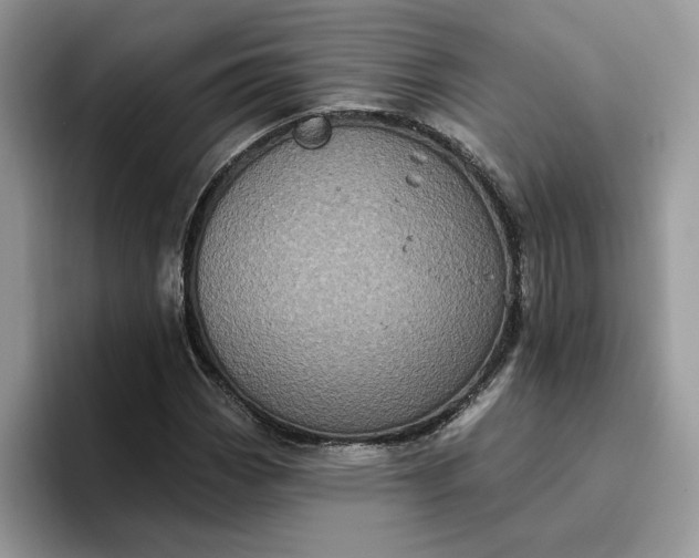 X0000095961113200801251144