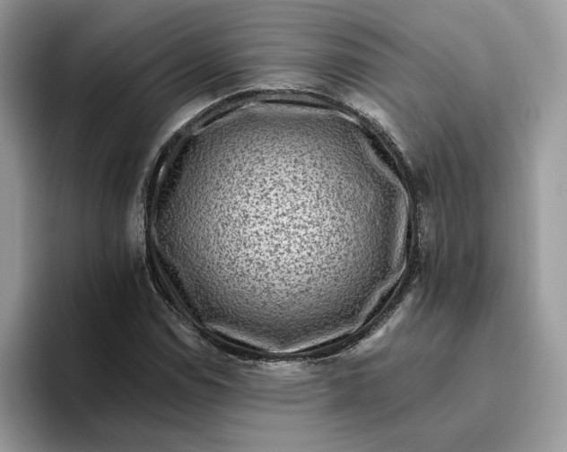 X0000095961114200801251144