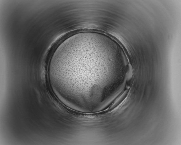 X0000095961115200801251144