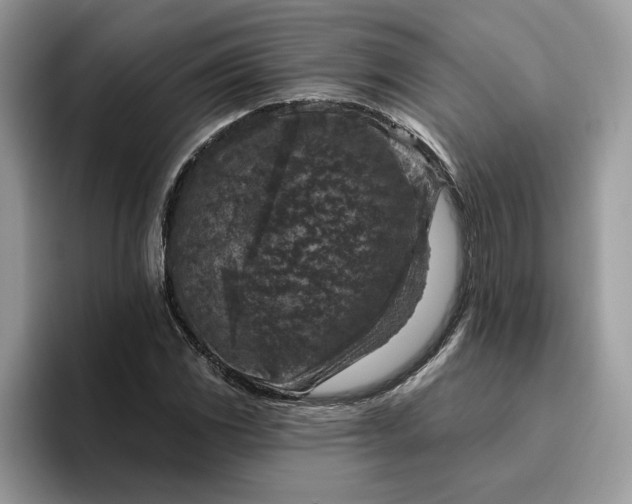 X0000095961117200801251144