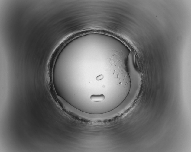 X0000095961118200801251144