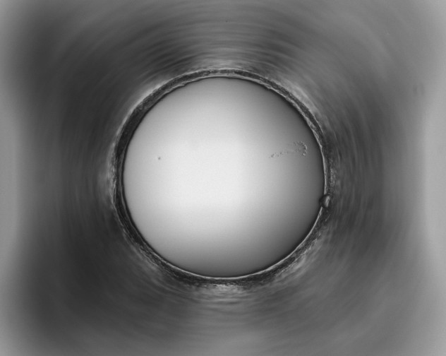 X0000095961119200801251144