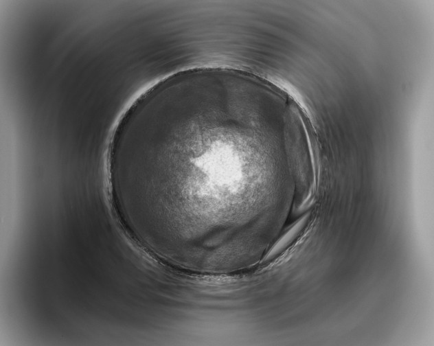 X0000095961120200801251144