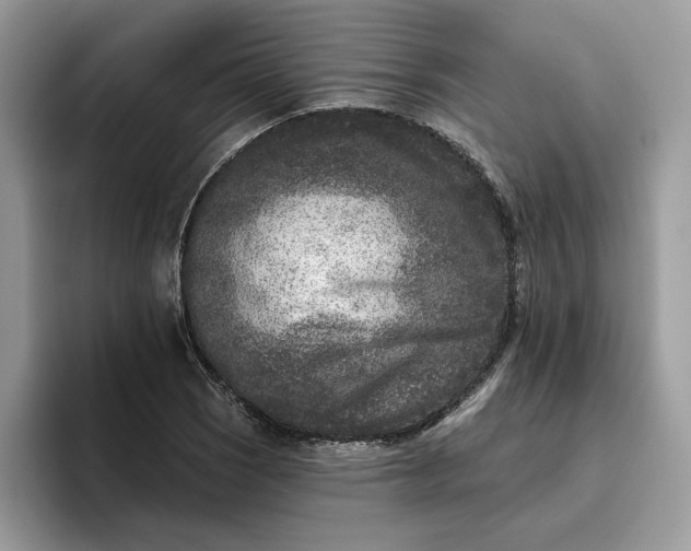 X0000095961121200801251144