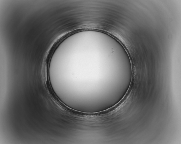 X0000095961123200801251144