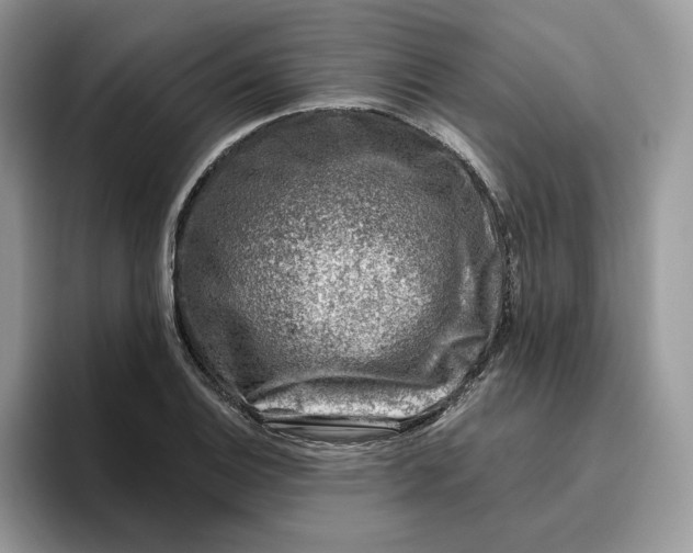 X0000095961124200801251144