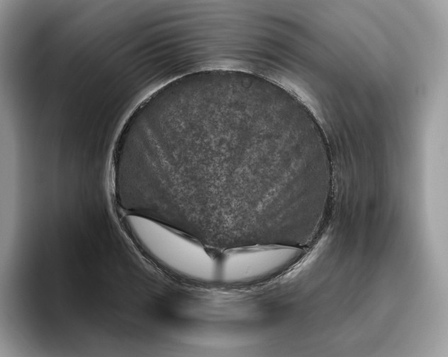 X0000095961125200801251145