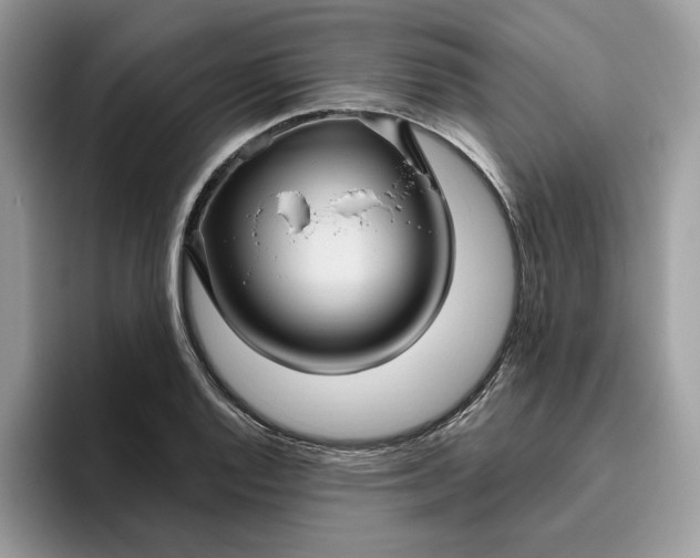 X0000095961128200801251145