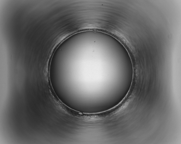 X0000095961129200801251145