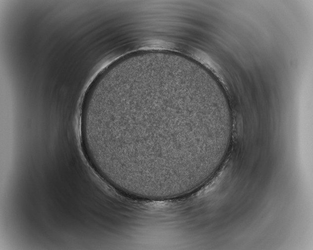 X0000095961130200801251145