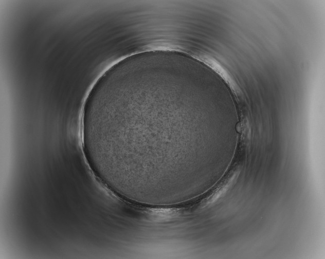 X0000095961132200801251145