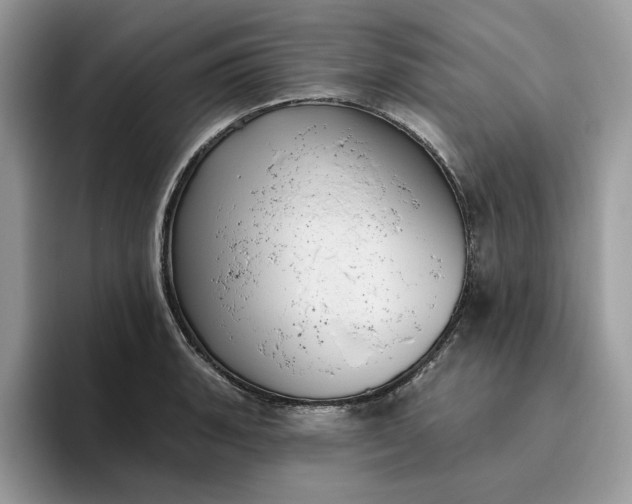 X0000095961135200801251145