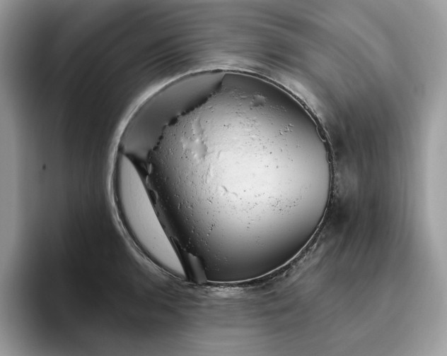 X0000095961136200801251145