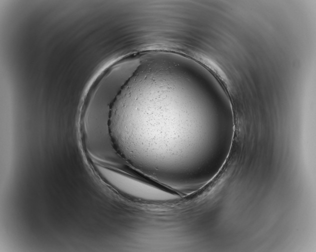 X0000095961138200801251145