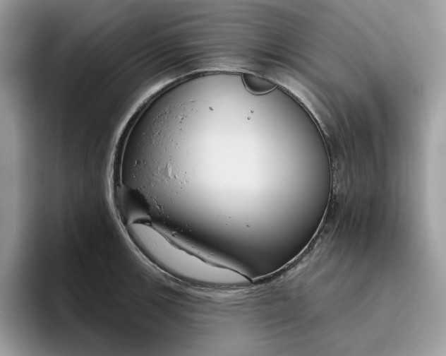 X0000095961139200801251145