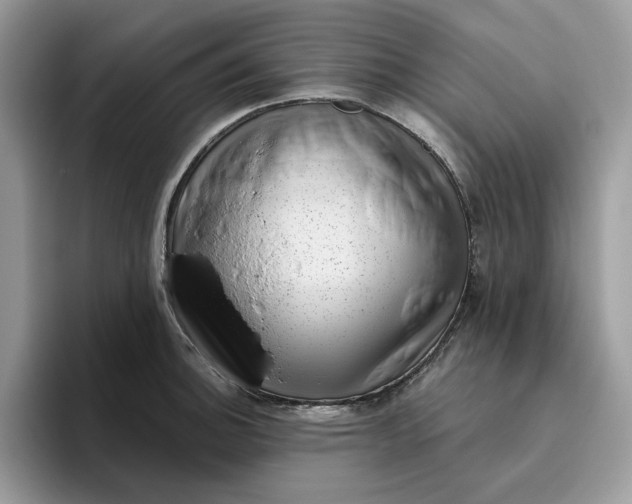 X0000095961140200801251145