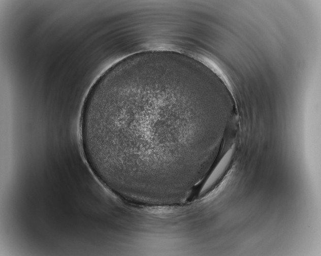 X0000095961141200801251145