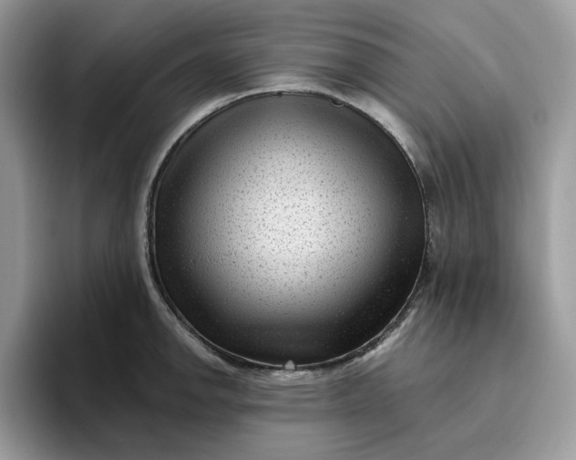 X0000095961142200801251145