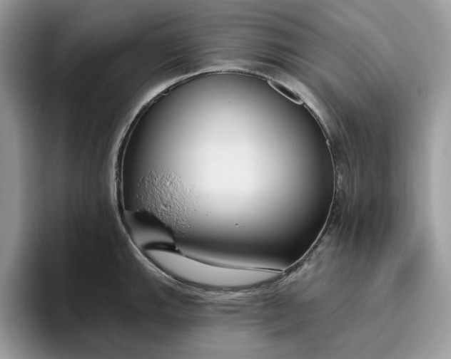 X0000095961143200801251145