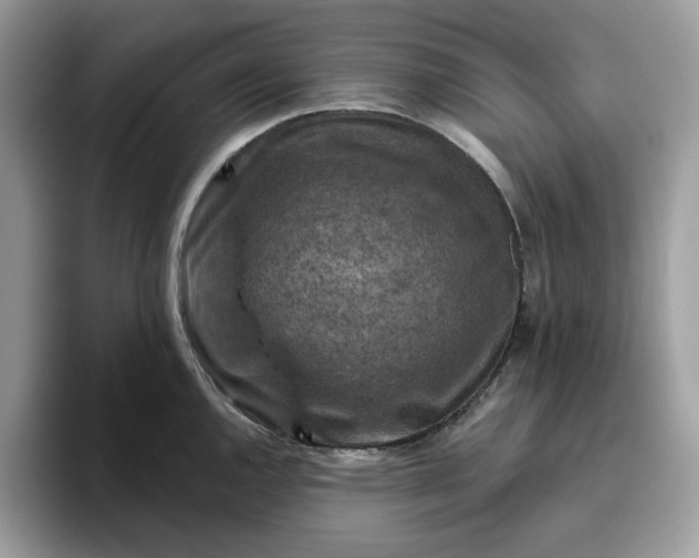 X0000095961144200801251145