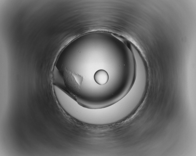 X0000095961145200801251145