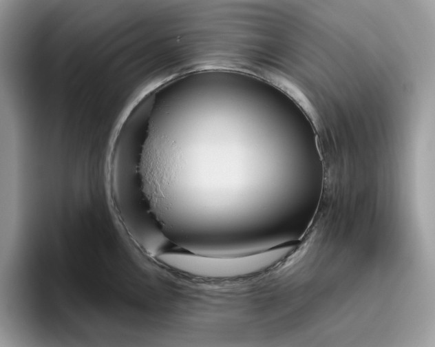 X0000095961146200801251145