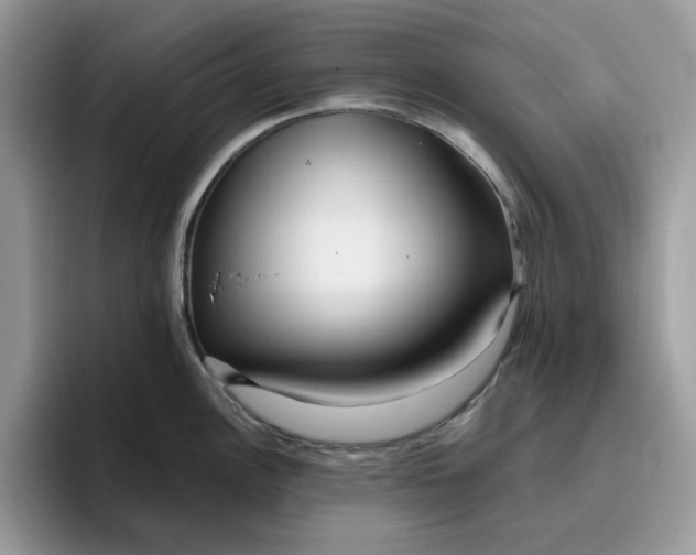 X0000095961148200801251145