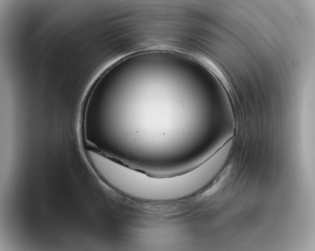 X0000095961149200801251145