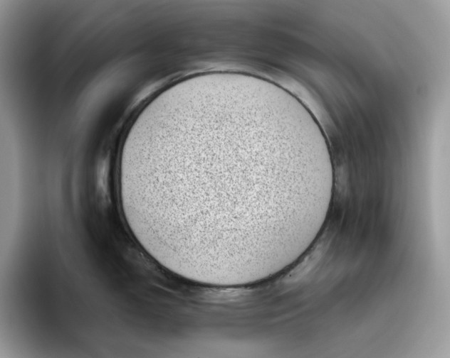 X0000095961150200801251145